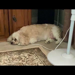 Meet your Posher, Barbara